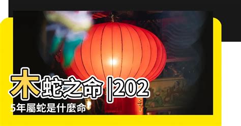 1977年屬什麼生肖|1977年屬什麼生肖